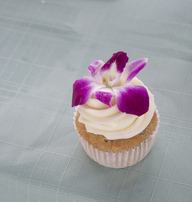 hummingbird cupcakes