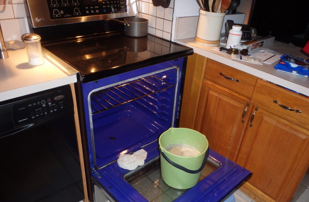 open oven with a cleaning substance in a basket