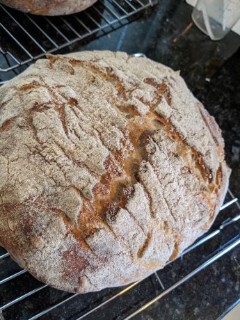 sourdough bread