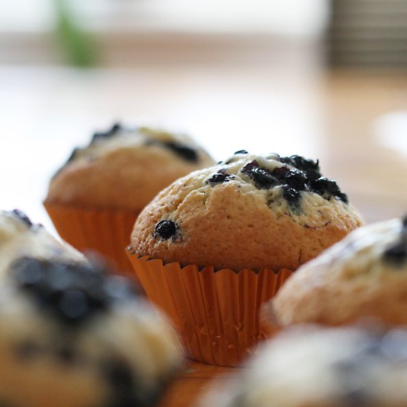 blueberries cupcakes