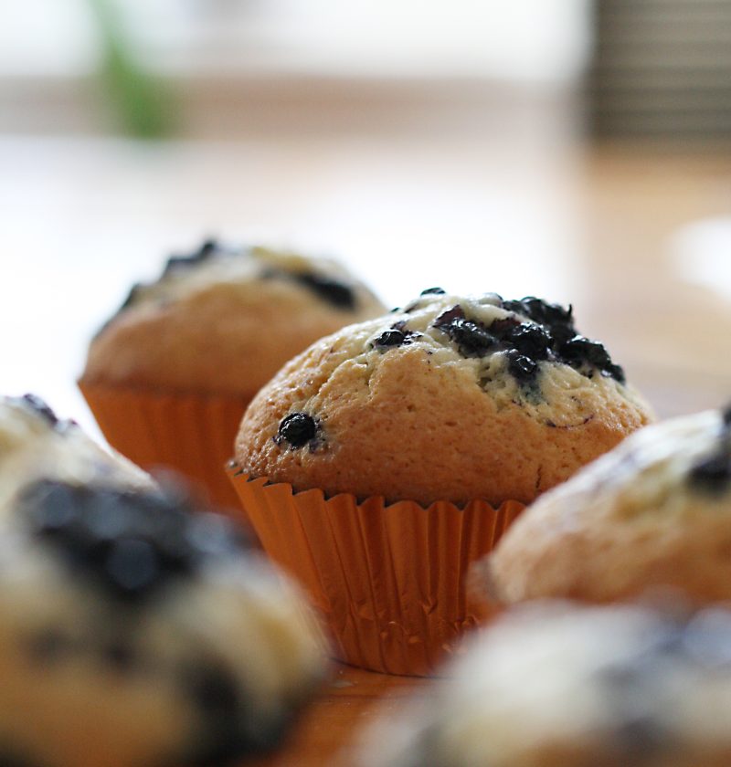 blueberries cupcakes