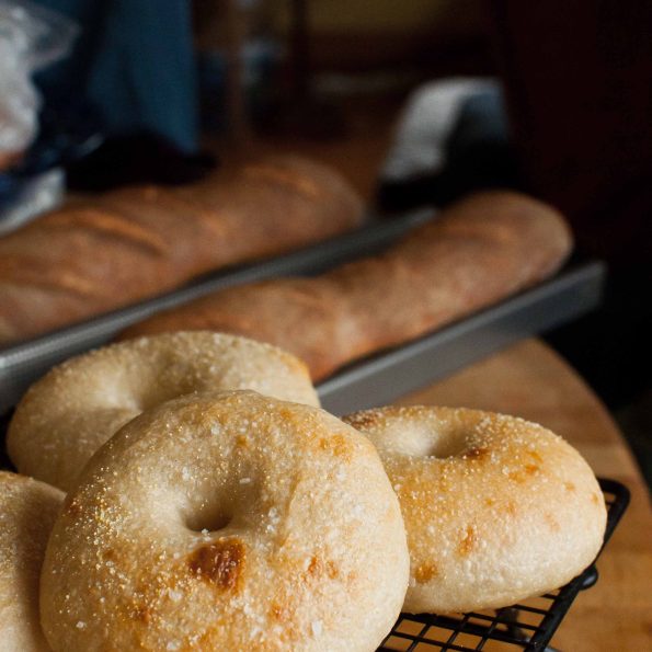 sourdough bagel