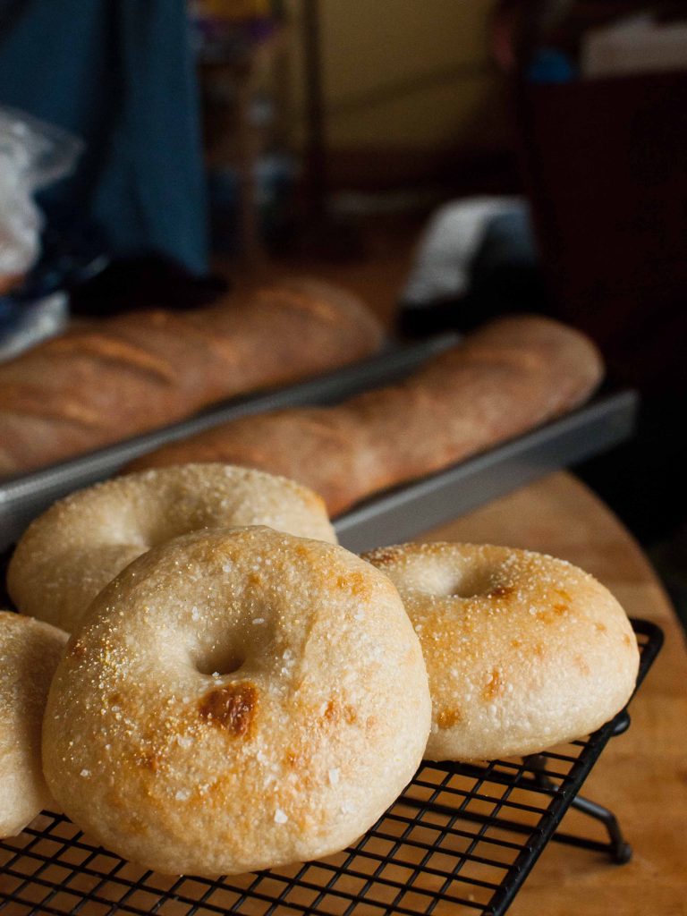 sourdough bagel