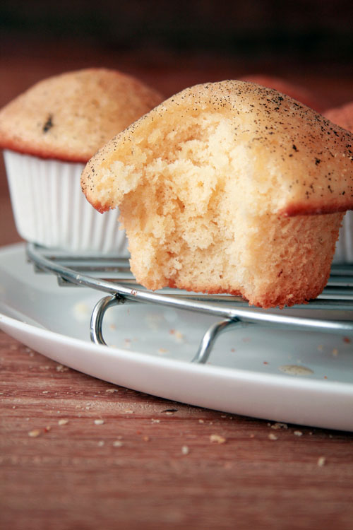 vanilla muffin recipe