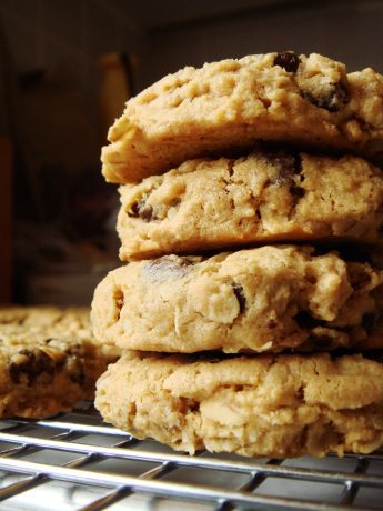 oat chocolate chip cookies